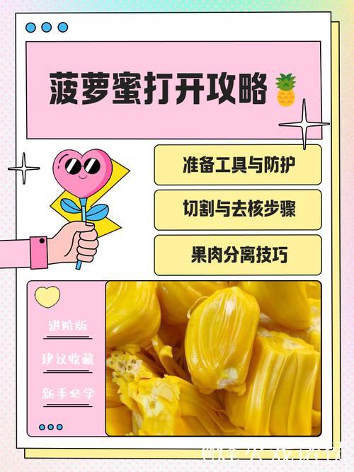 探索菠萝蜜视频App的独特魅力之旅